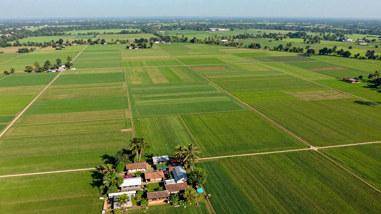 How Many Football Fields Is 100 Acres? Visualizing Large Land Plots