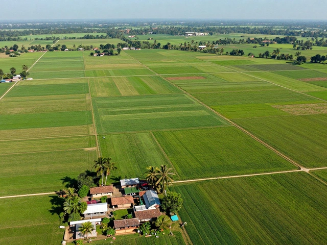 How Many Football Fields Is 100 Acres? Visualizing Large Land Plots
